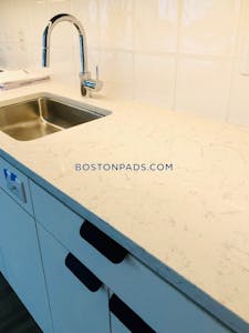 Seaport/waterfront 3 Beds 2 Baths Boston - $8,751 No Fee