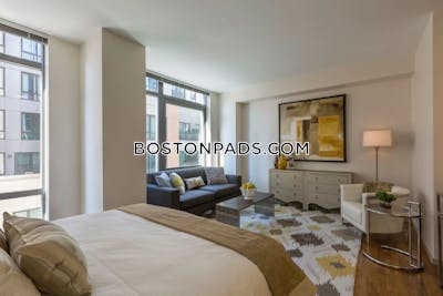 West End 2 bedroom  baths Luxury in BOSTON Boston - $5,880