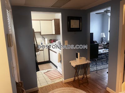 Brighton Apartment for rent 1 Bedroom 1 Bath Boston - $2,250