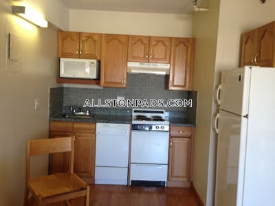 Allston Apartment for rent Studio 1 Bath Boston - $2,200 No Fee
