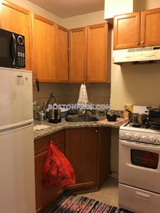 Northeastern/symphony /1 Bed 1 Bath Boston - $3,150 No Fee