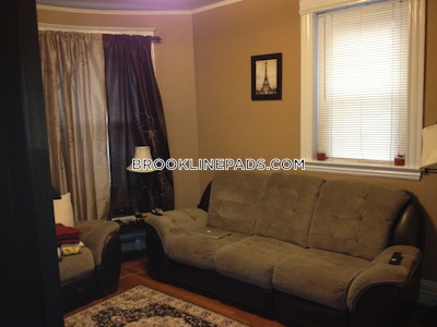 Brookline Apartment for rent 1 Bedroom 1 Bath  Washington Square - $2,450 No Fee