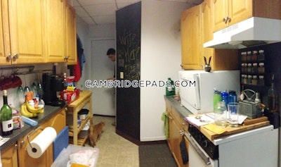 Cambridge Apartment for rent 1 Bedroom 1 Bath  Porter Square - $2,800 No Fee