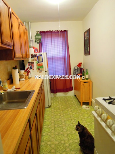 Malden Apartment for rent Studio 1 Bath - $1,875 No Fee