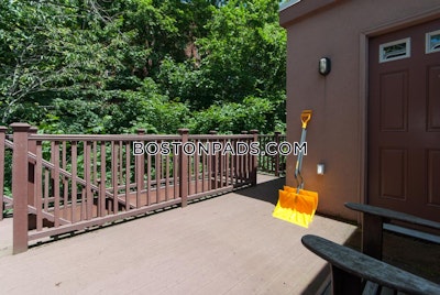 Brighton 3 Bed 2 Bath BOSTON Boston - $3,800 No Fee