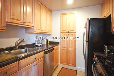 Brookline Apartment for rent 2 Bedrooms 1.5 Baths  Chestnut Hill - $3,950 No Fee