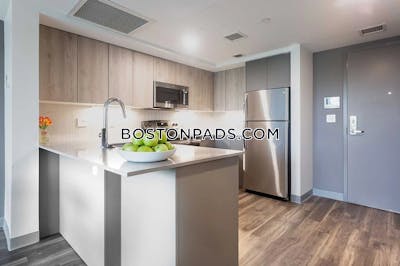Roxbury Apartment for rent 1 Bedroom 1 Bath Boston - $8,700 No Fee