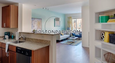 Dorchester Studio  Luxury in BOSTON Boston - $2,516 No Fee