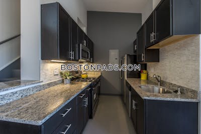 South End Apartment for rent 1 Bedroom 1 Bath Boston - $3,250 No Fee