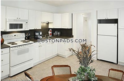 Allston/brighton Border Apartment for rent 2 Bedrooms 1 Bath Boston - $2,800