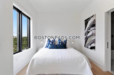 Brighton Apartment for rent 2 Bedrooms 2 Baths Boston - $5,075