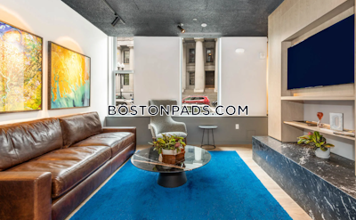 Downtown 1 bedroom 1 baths Luxury in BOSTON Boston - $3,641