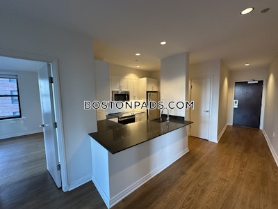 Downtown Apartment for rent 2 Bedrooms 2 Baths Boston - $4,317